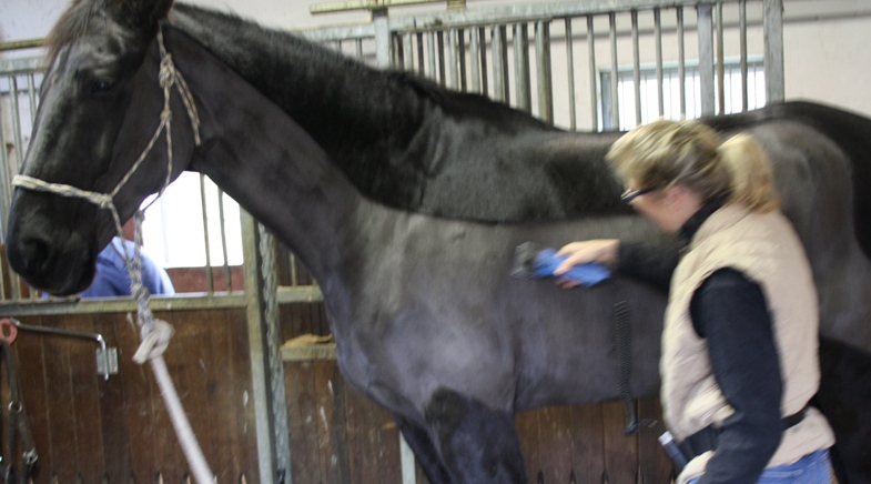Bild 2