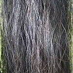 IMG_0029_1